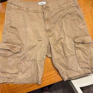 Goodfellow & Co Men's Brown Cargo Shorts
